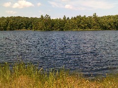 IAT; Langlade County Arboretum, WI